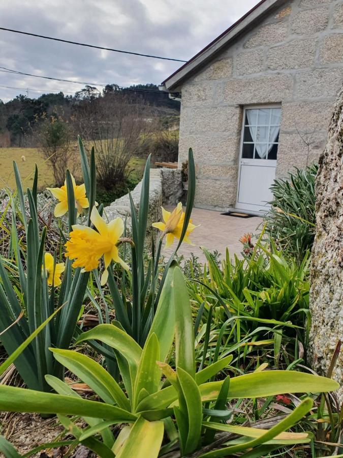 Casa Da Poca Villa Baião Eksteriør bilde