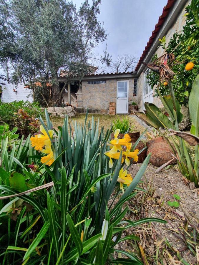 Casa Da Poca Villa Baião Eksteriør bilde